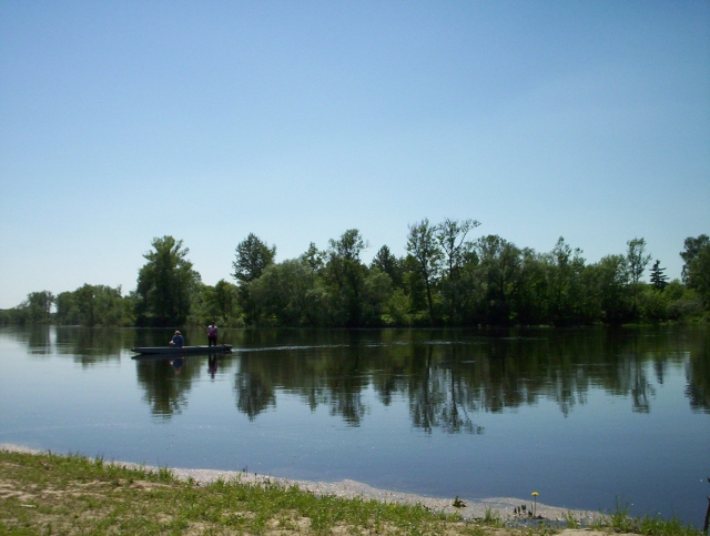 ��dk� przez Bug